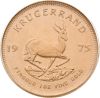 Krugerrand gold coin - front - Italpreziosi