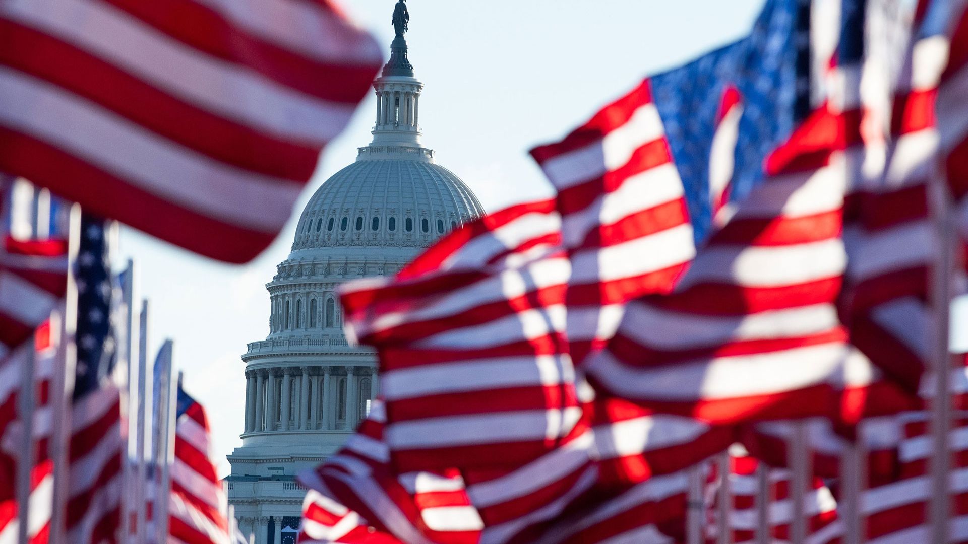 Bandiere americane che sventolano, sullo sfondo il Campidoglio di Washington