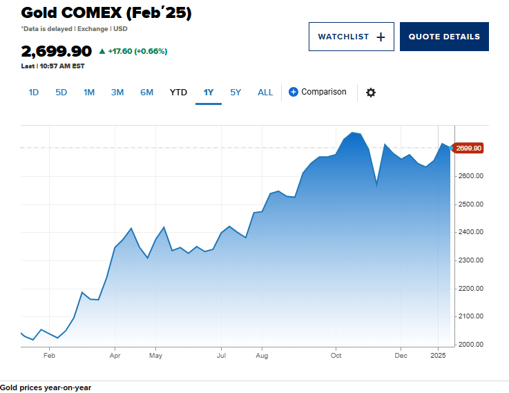 Diverse materie prime affronteranno venti contrari nel 2025, ma il rally record di questo metallo è destinato a continuare